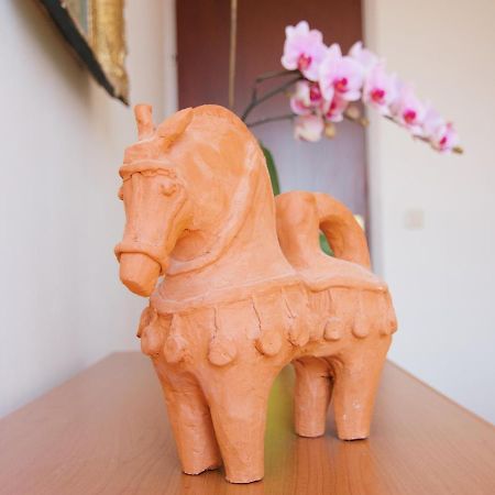 Apartment Todorović - Macan Pula Zewnętrze zdjęcie