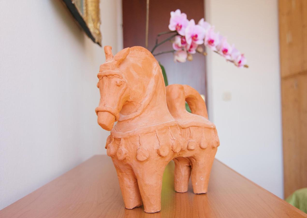 Apartment Todorović - Macan Pula Zewnętrze zdjęcie