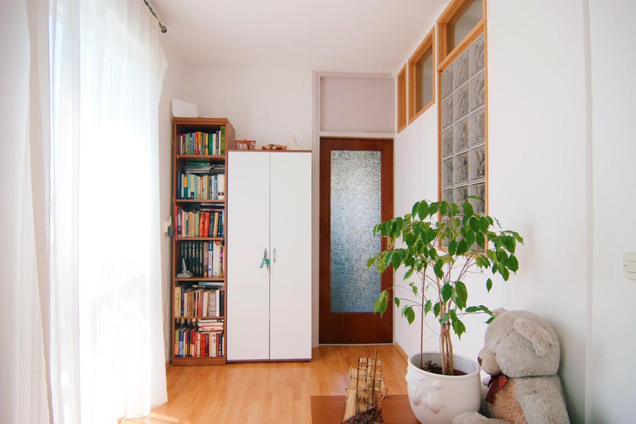 Apartment Todorović - Macan Pula Zewnętrze zdjęcie