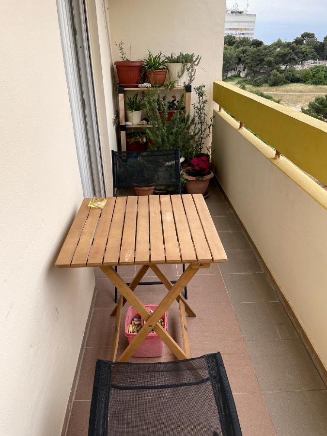 Apartment Todorović - Macan Pula Zewnętrze zdjęcie